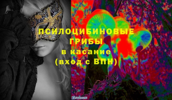 PSILOCYBIN Балахна