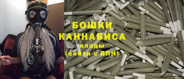 PSILOCYBIN Балахна