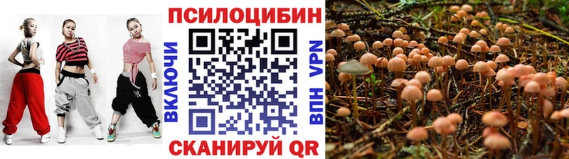 Псилоцибиновые грибы мицелий  цены   Верхний Тагил 